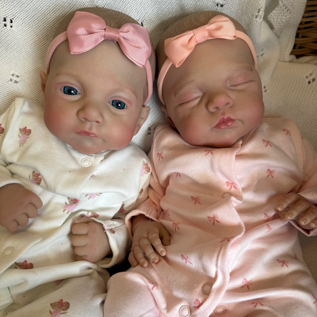 Meet Our New Reborn Twins: Isla and Iris